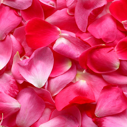 Rose Candle Scents