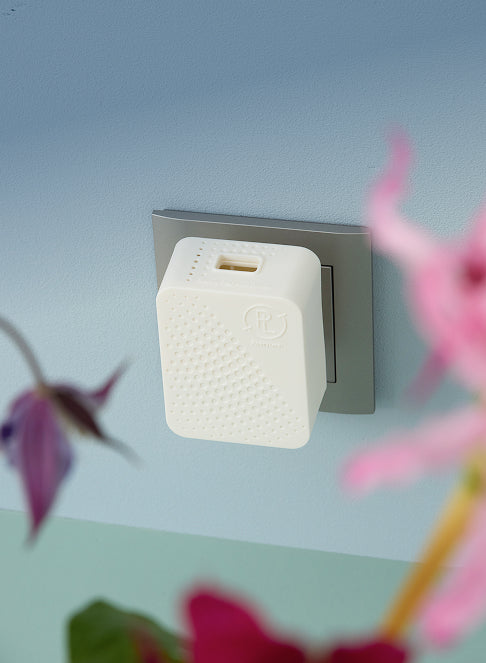 PL plug-in on wall outlet with blurred flowers in the foreground