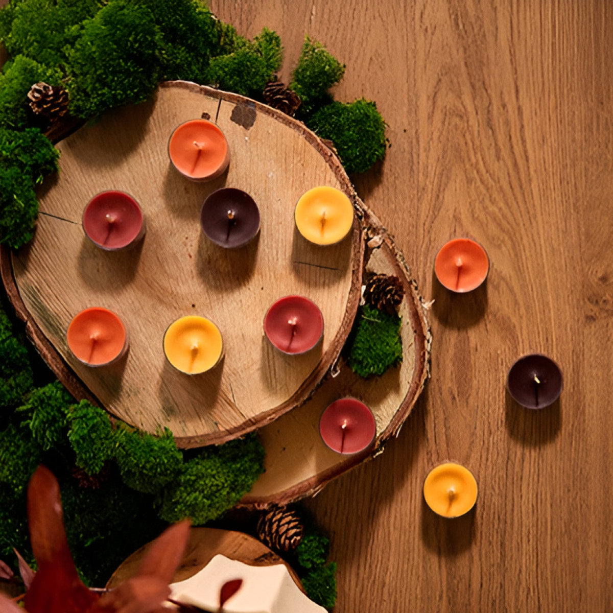 Assortment of Colorful Tealights from the Autumn Woods Tealight sampler shown wooden log style trays with moss on a wooden surface