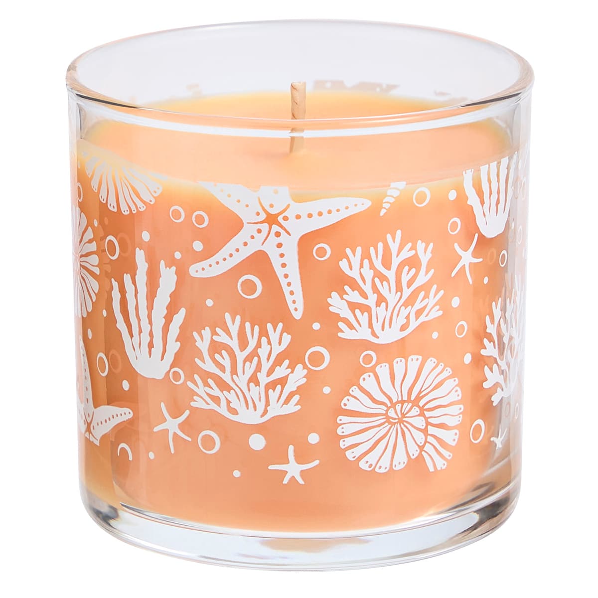 Grapefruit Peach Paloma Mini Jar Candle against a white background