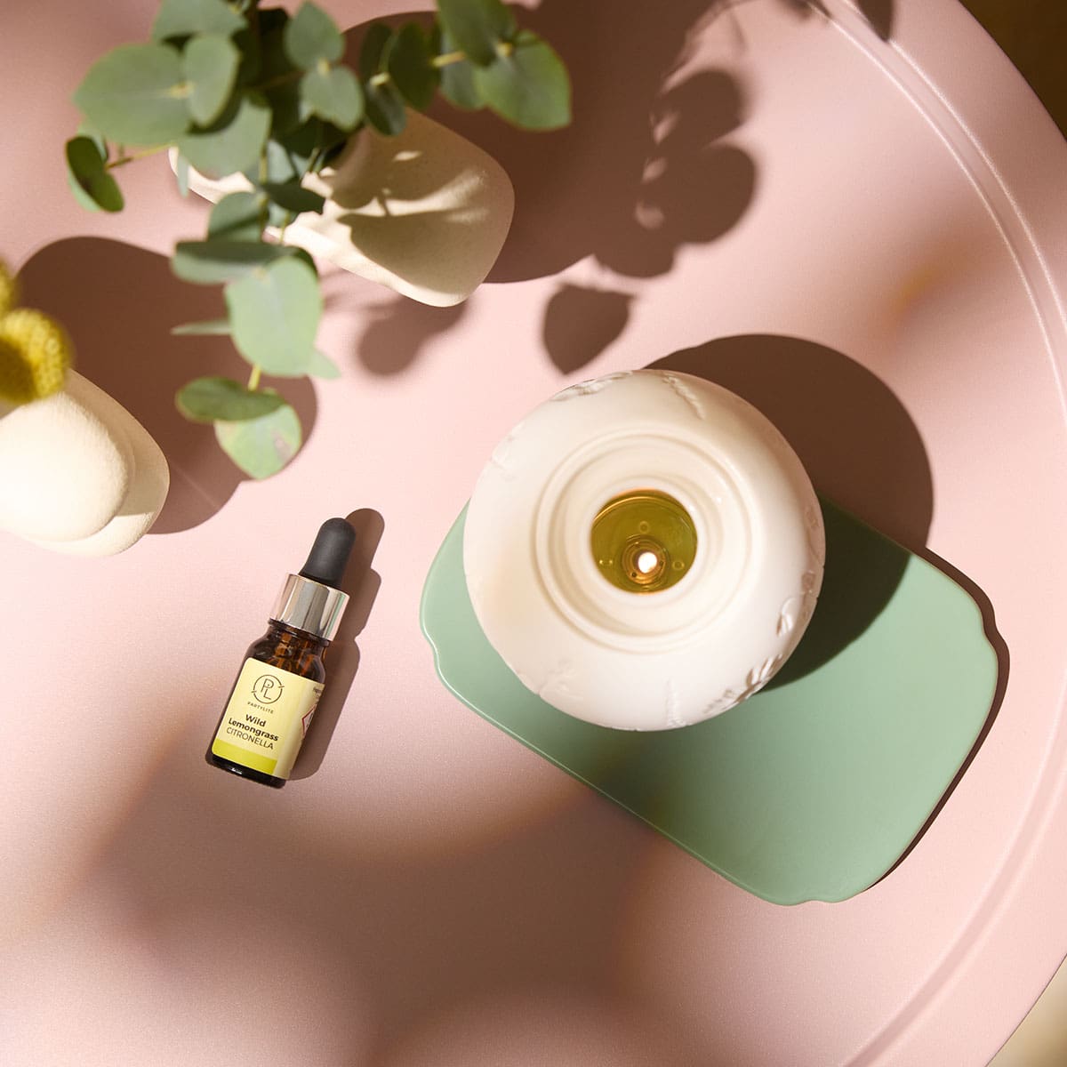 Wild Lemongrass Citronella Oil shown a Fragrance Warmer on a green tray on a pale pink table with a plant next to them