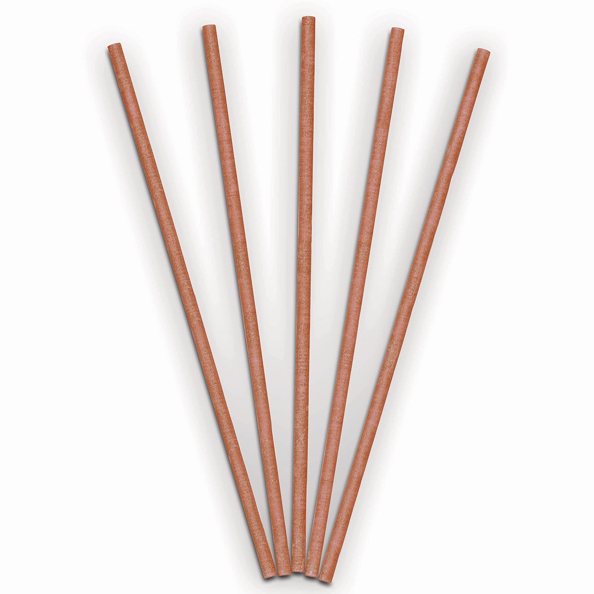 Spiced Pumpkin Decorative Flameless Fragrance Sticks against a white background.