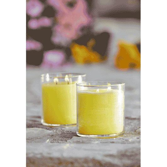 Pair of Wild Lemongrass Citronella GloLite jar candle in a yellow color against a blurred background.