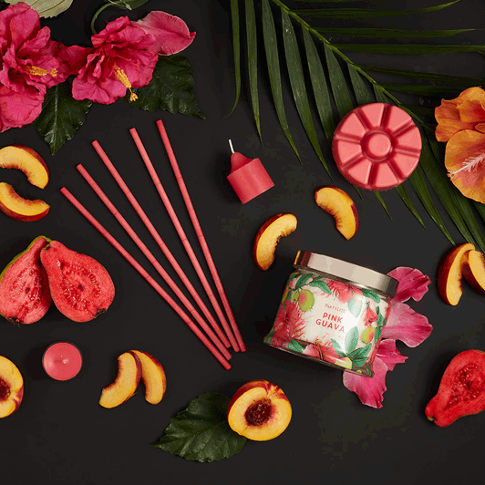 Pink Guava Scent Plus® Wax Melts - PartyLite US