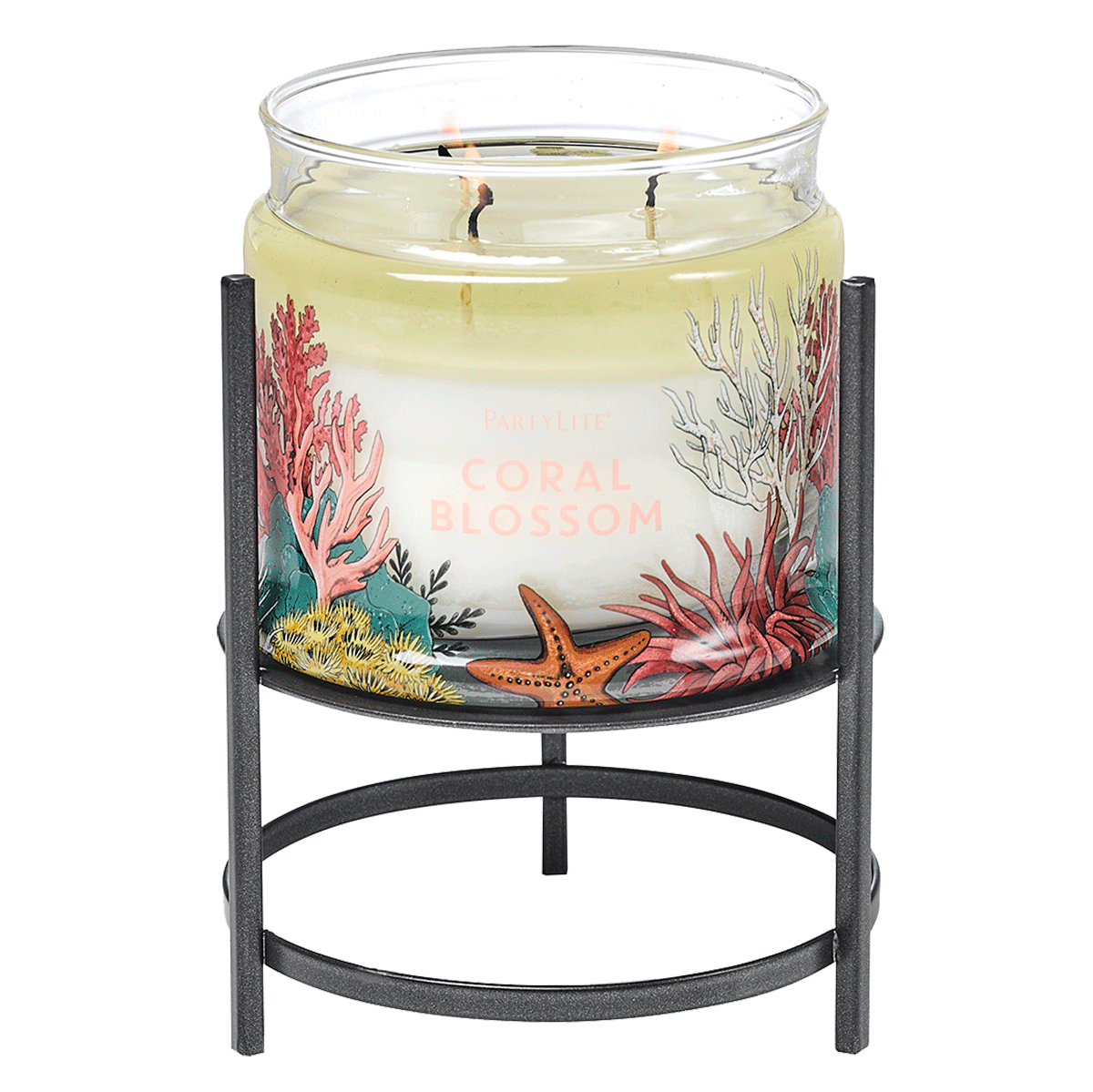 Slate Black Elevated Jar Candle Holder - PartyLite US