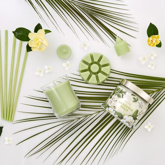 Gardenia Palm Fragrance Sticks, 3-wick jar candle, escential jar candle, wax melts, votive candle and a tealight surrounded by palm leaves and flowers against a white background.