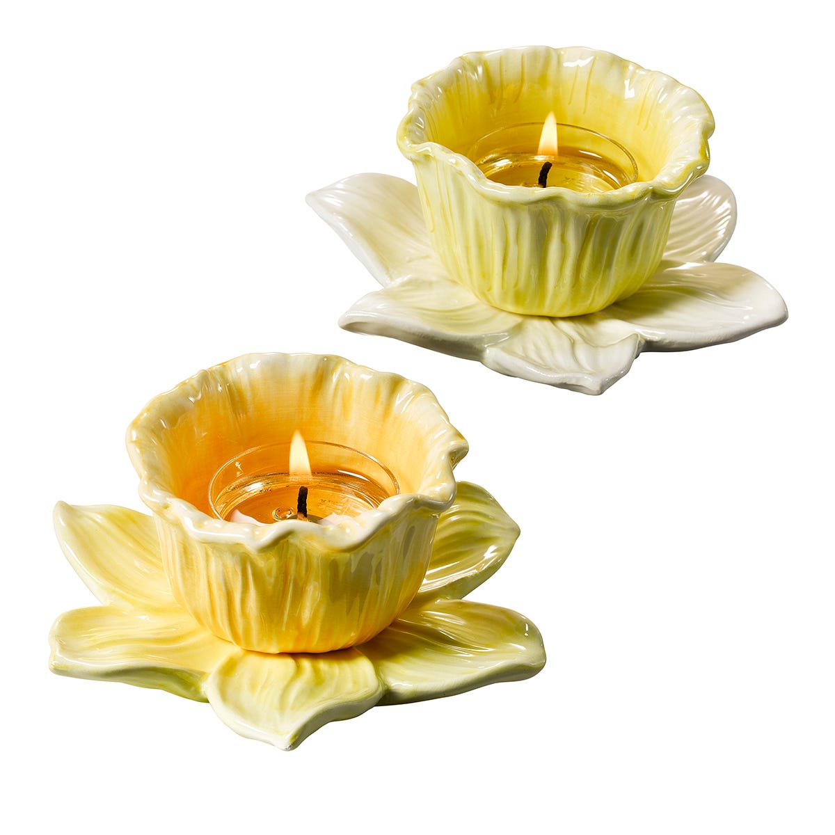 Spring Daffodils Tealight Candle Holder Pair with lit tealights against a white background.