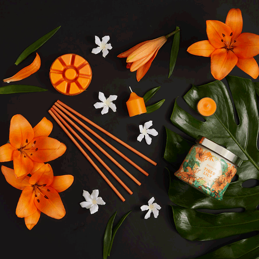 Tiger Lily Scent Plus® Wax Melts - PartyLite US