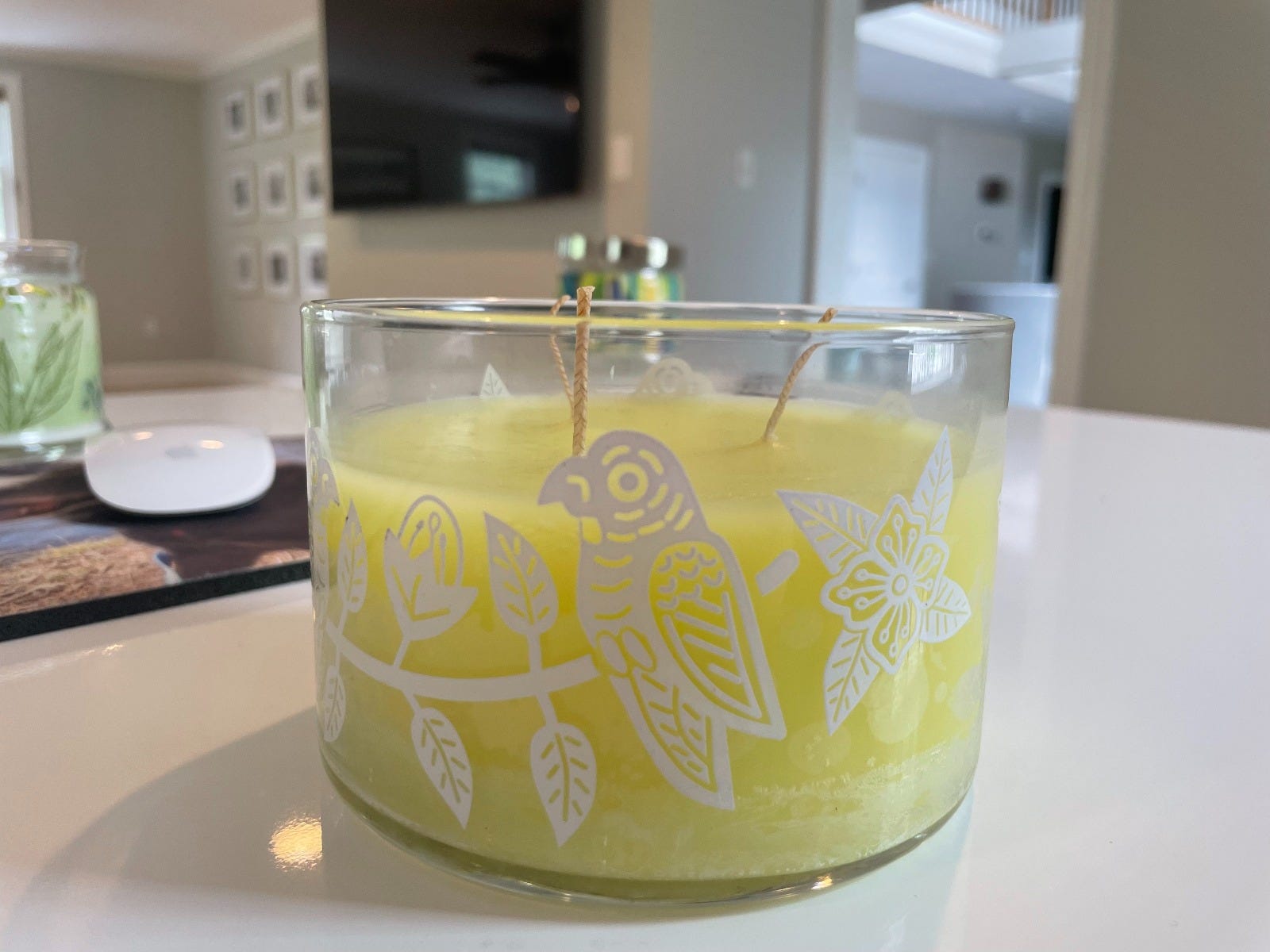 Wild Lemongrass Citronella 3-Wick Jar Candle with clear glass and birds and leaves design, on a light surface.