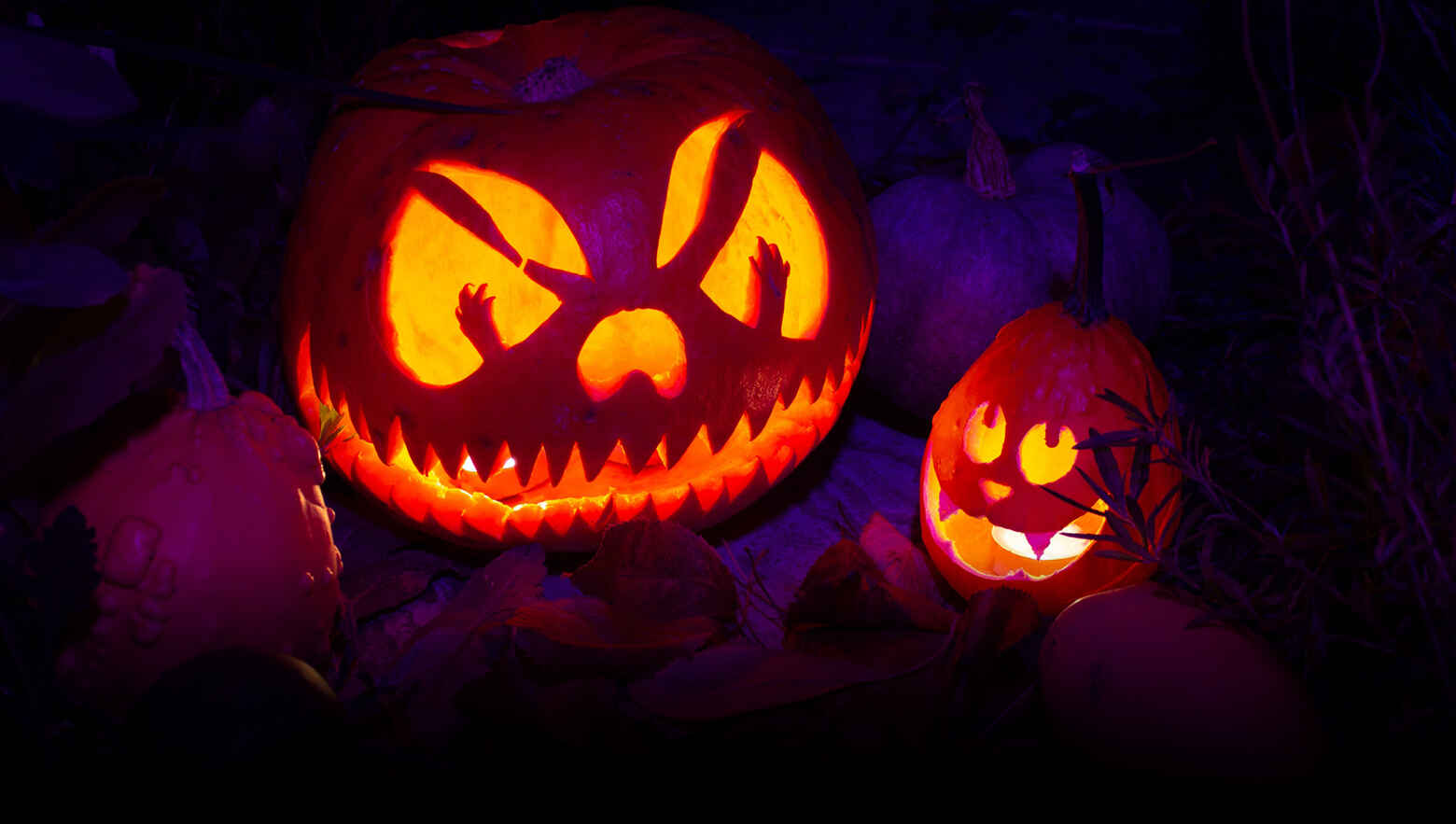 Two Pumpkins creating a Halloween scene.