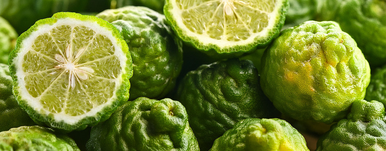 Bergamot Candle Scents