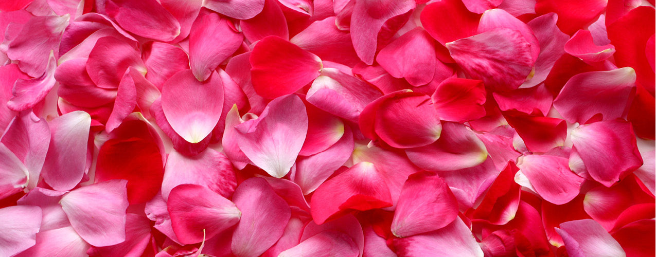 Rose Candle Scents