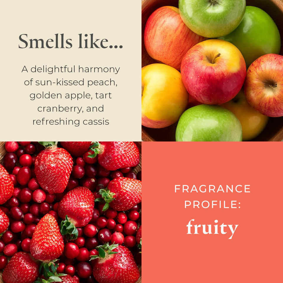 Shop All Products | PartyLite US