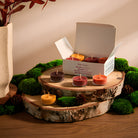 Autumn Woods Tealight Sampler with an assortment of colorful tealights on wooden log trays with moss 