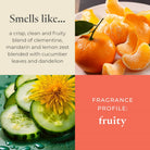 Fragrance profile description with mandarin oranges, cucumber slices, and dandelion flower on a colorful background.