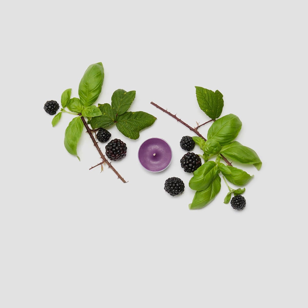 Blackberries & Basil Universal Tealight® Candles - PartyLite US