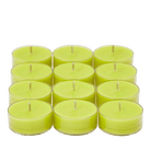 Elderflower & Mint Universal Tealight® Candles - PartyLite US