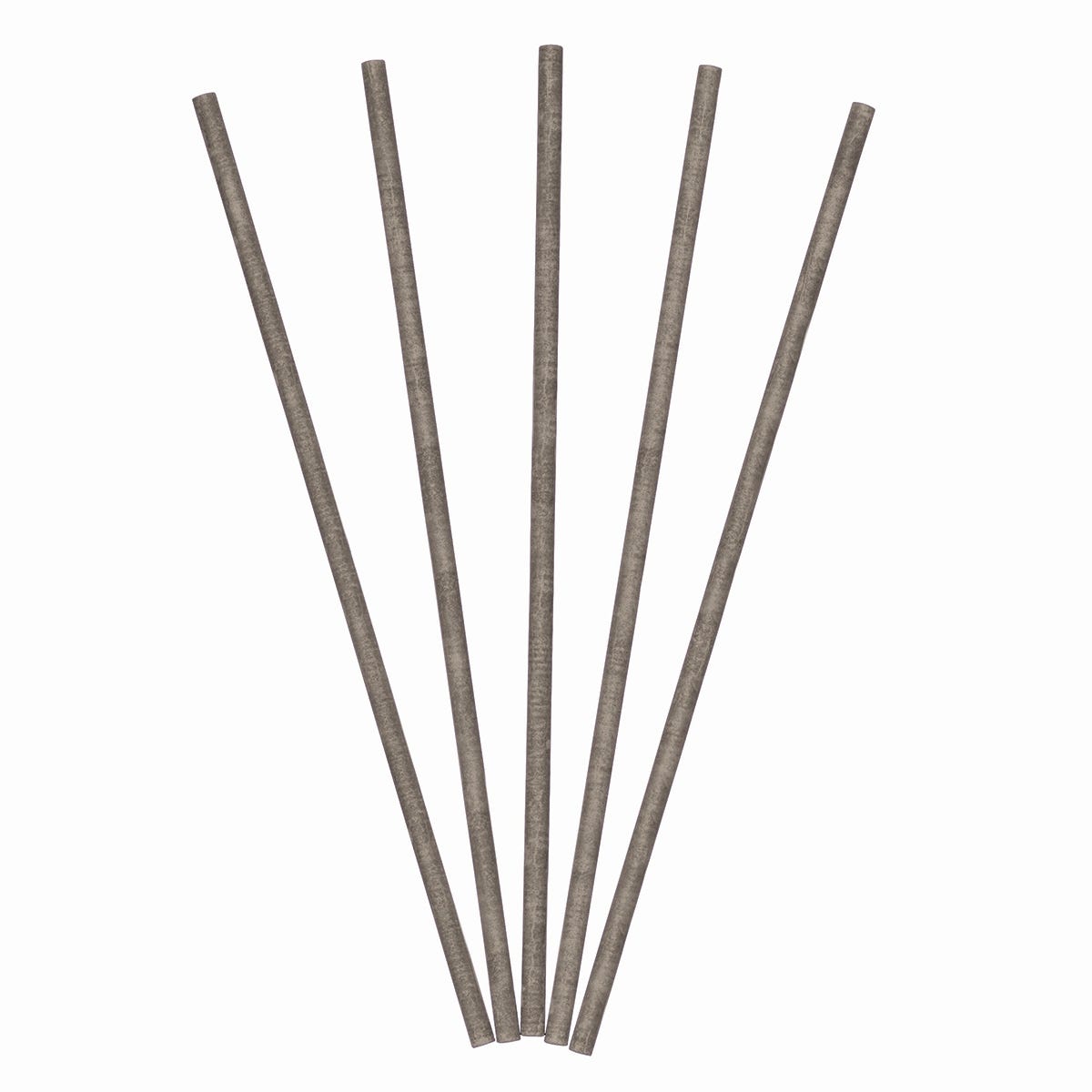 Silver Birch Bark Fragrance Sticks against a white background.