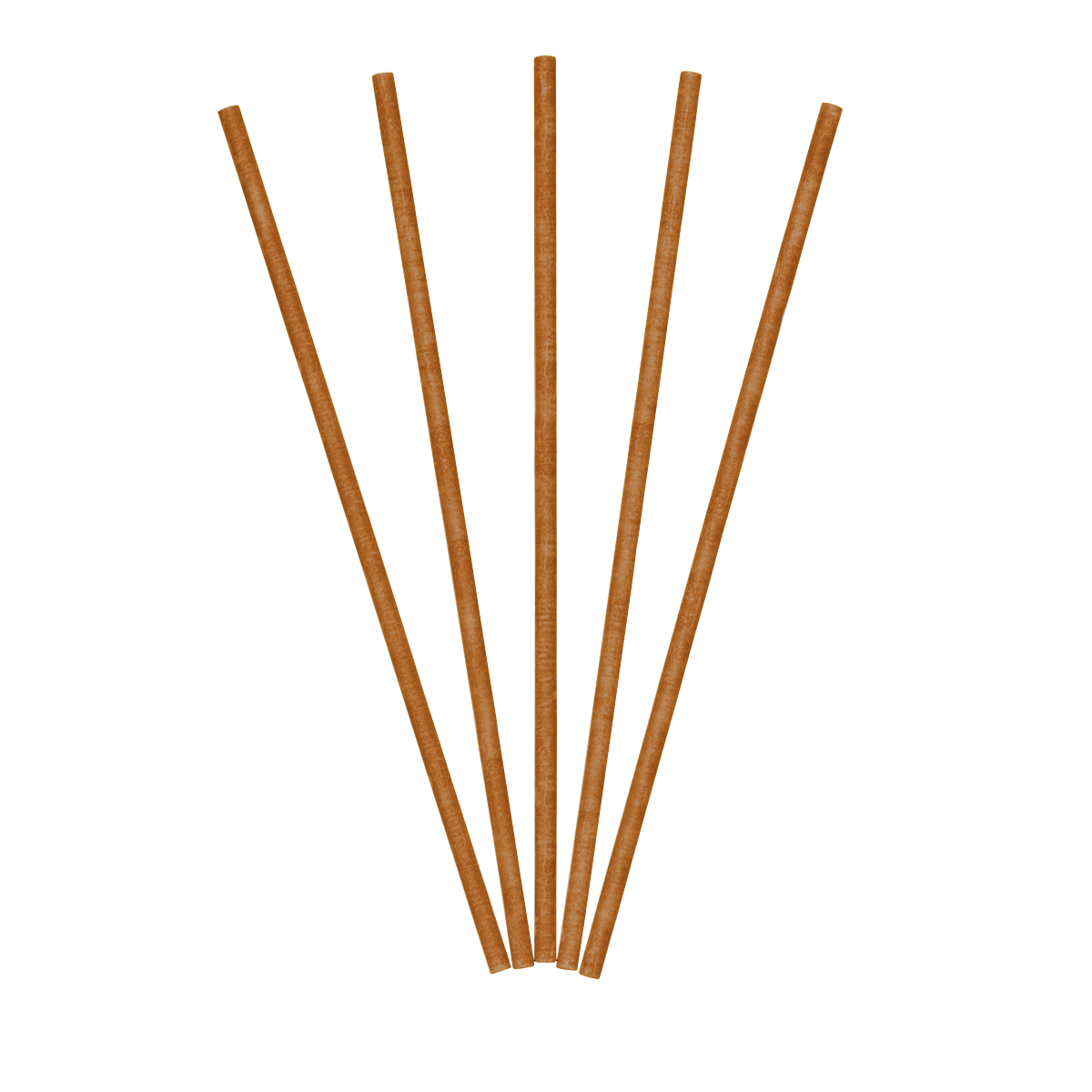 Fallen Pine Cones Decorative Fragrance Sticks.