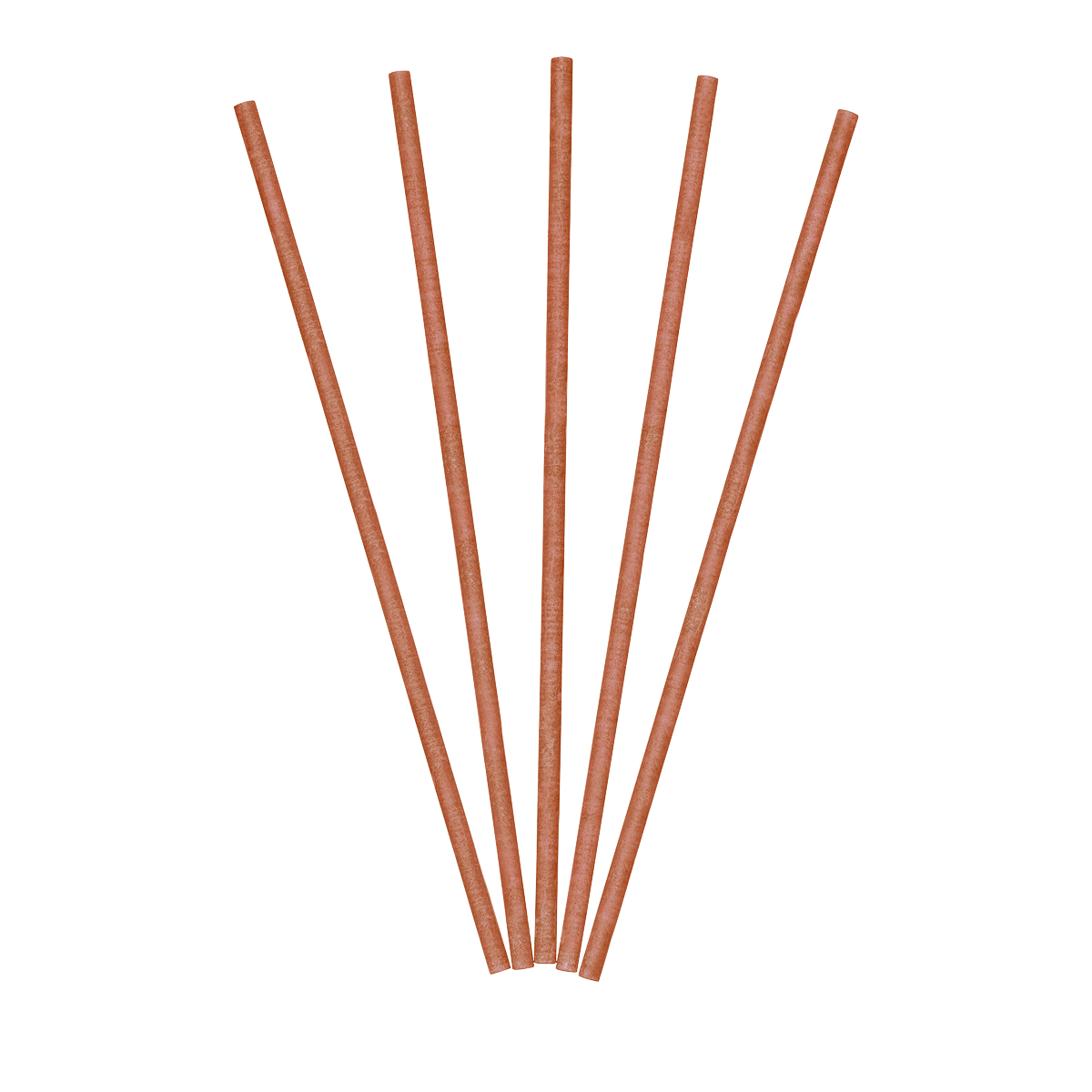 Spiced Pumpkin Decorative Flameless Fragrance Sticks.