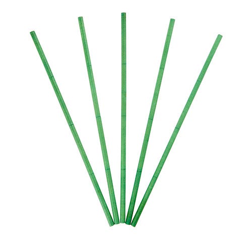 Evergreen Fir green Decorative Fragrance Sticks against a white background.
