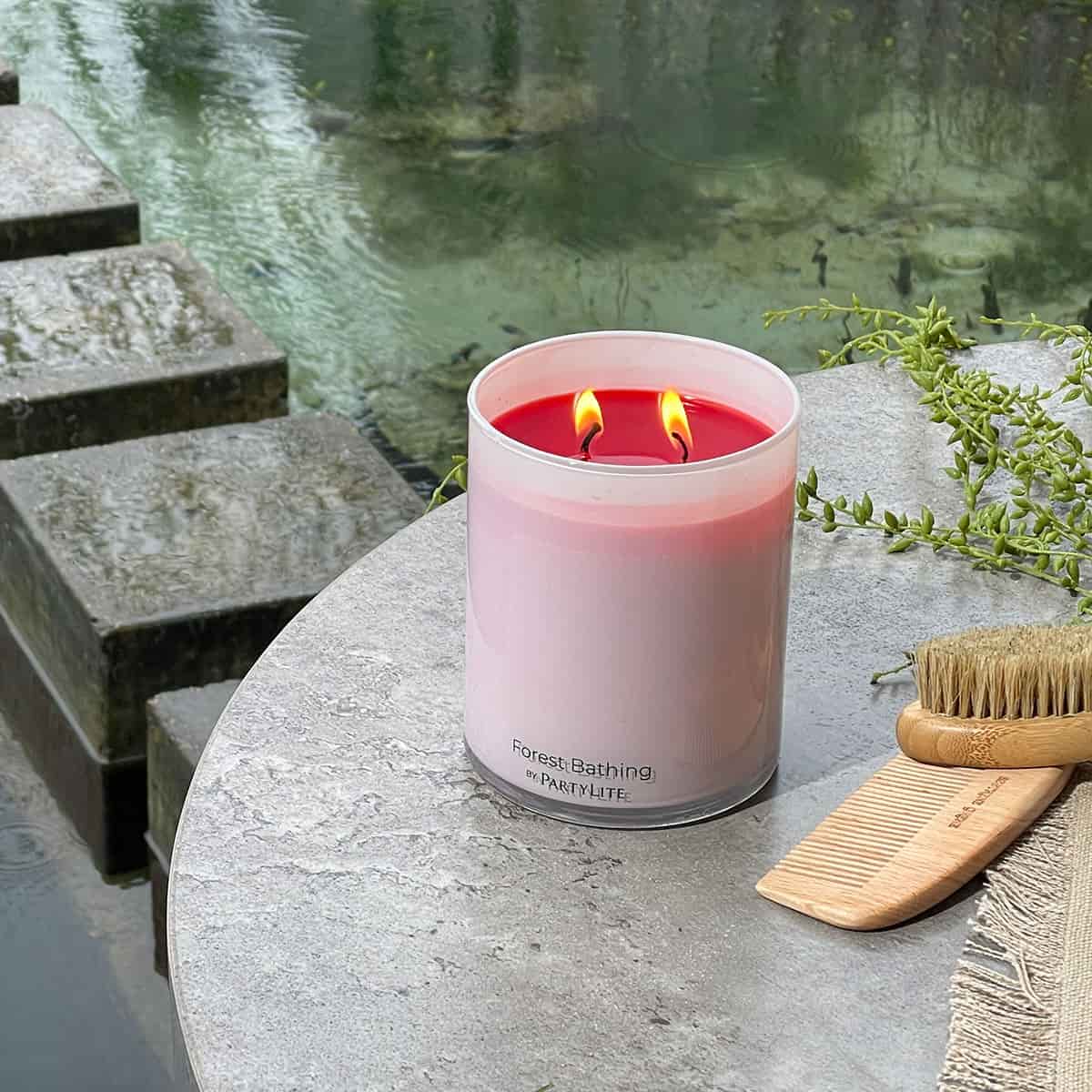 Forest Bathing Wild Woodland Berry Jar Candle - PartyLite US