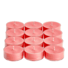 Gift with Purchase Watermelon Tealight Candles - PartyLite US