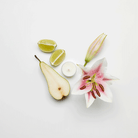 Lily & Linen Universal Tealight® Candles - PartyLite US