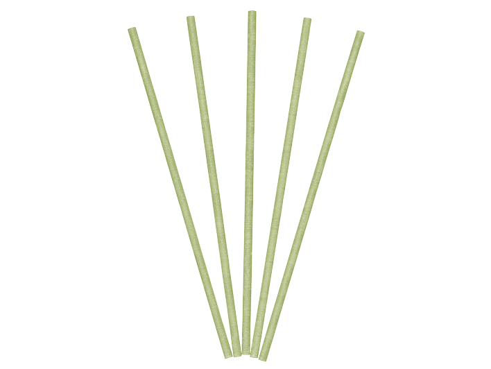 Gardenia Palm Green Fragrance Sticks.