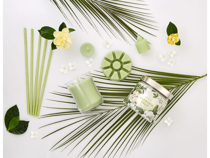 Gardenia Palm Fragrance Sticks, 3-wick jar candle, escential jar candle, wax melts, votive candle and a tealight surrounded by palm leaves and flowers against a white background.