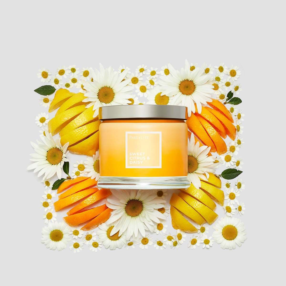 Sweet Citrus & Daisy 3-Wick Jar Candle - PartyLite US