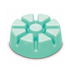 Aloe Eucalyptus Wax Melts