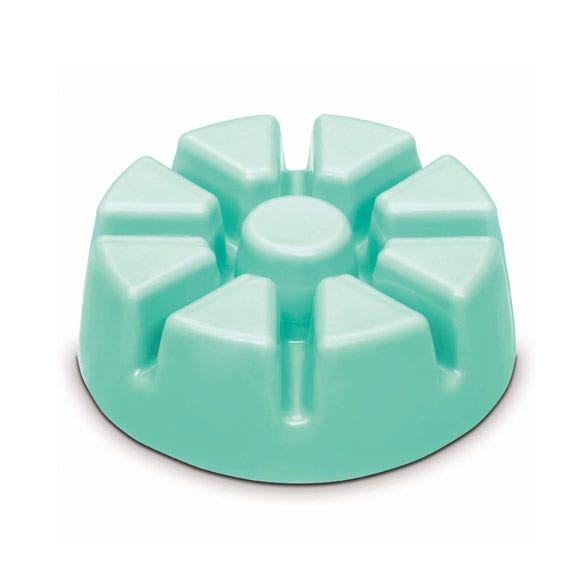 Aloe Eucalyptus Wax Melts